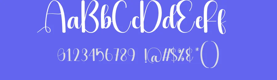 Sleek Script Font by creativeletter — Script Handwritten Font — thumbnail 3
