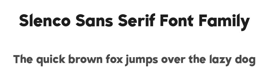 Slenco Sans Serif Font Family by Patria Ari Typestudio — Sans Serif Font
