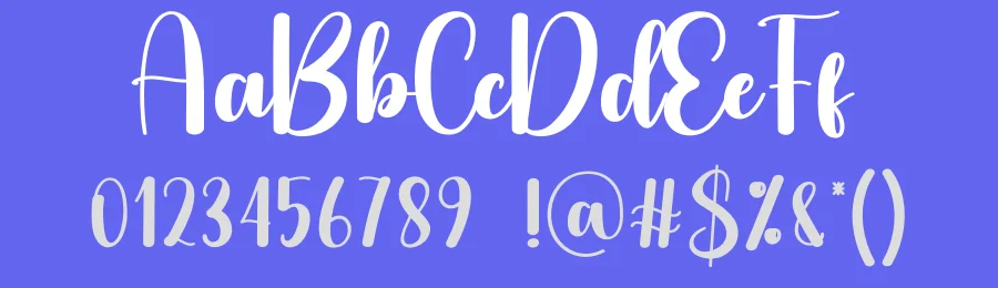 Slight Script Typeface by creativeletter — Script Handwritten Font — thumbnail 3