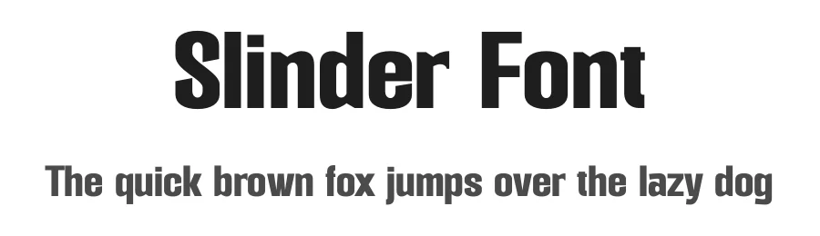 Slinder Font by TypeLogue — Sans Serif Font