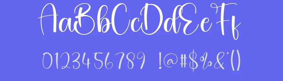 Smoothie Script Font by creativeletter — Script Handwritten Font — thumbnail 3