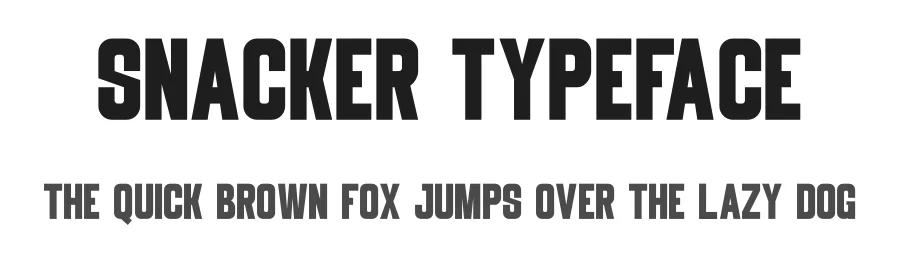 Snacker Typeface by Funtype — Sans Serif Font