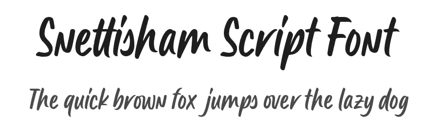 Snettisham Script Font by Four Lines Std — Script Handwritten Font