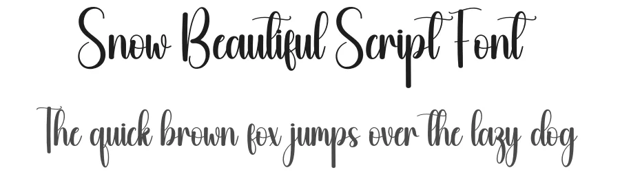 Snow Beautiful Script Font by creativeletter — Script Handwritten Font