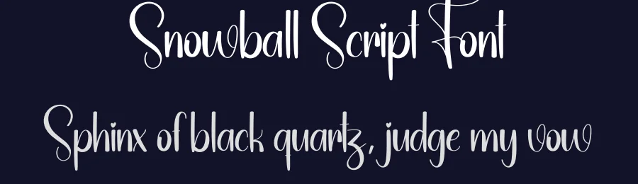 Snowball Script Font by creativeletter — Script Handwritten Font — thumbnail 2