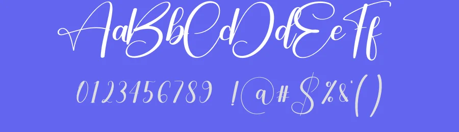 Snowday Script Font by creativeletter — Script Handwritten Font — thumbnail 3