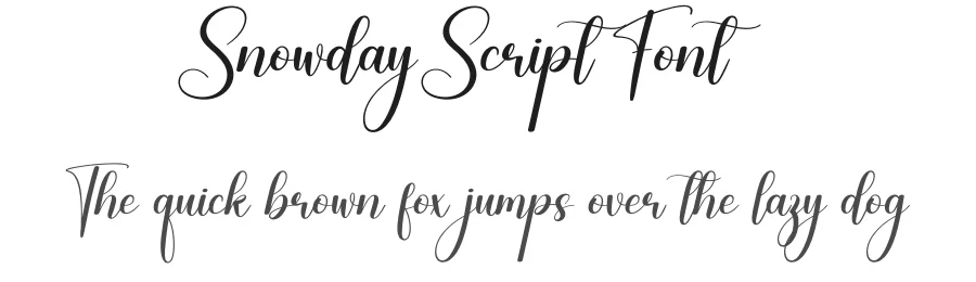 Snowday Script Font by creativeletter — Script Handwritten Font