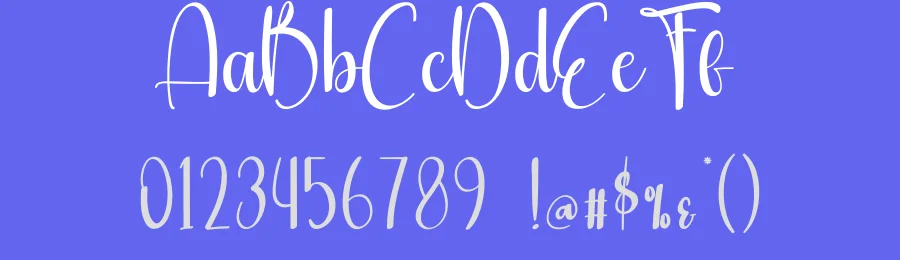 Snowflake Script Font by creativeletter — Script Handwritten Font — thumbnail 3