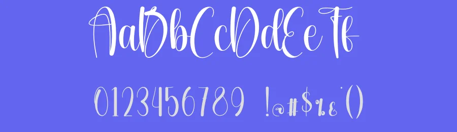Snowhouse Calligraphy Font by creativeletter — Script Handwritten Font — thumbnail 3