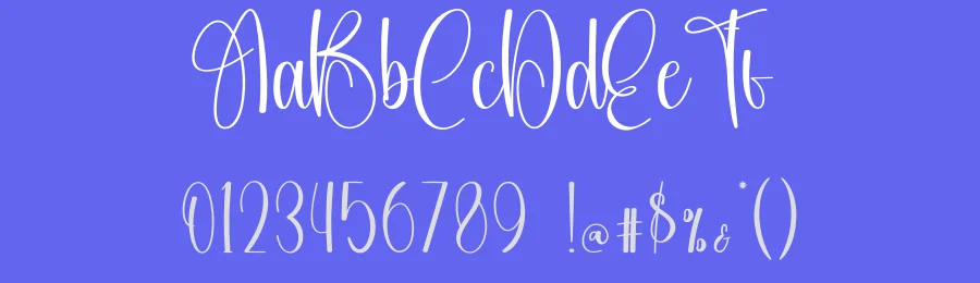 Snowhouse Script Font by creativeletter — Script Handwritten Font — thumbnail 3