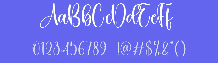 Snowhouse Script Font by creativeletter — Script Handwritten Font — thumbnail 3