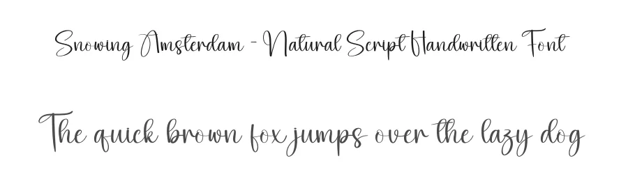 Snowing Amsterdam – Natural Script Handwritten Font by creativeletter — Script Handwritten Font