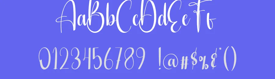 Snowlight Script Font by creativeletter — Script Handwritten Font — thumbnail 3