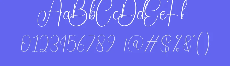 Snowy Signature Font by creativeletter — Script Handwritten Font — thumbnail 3