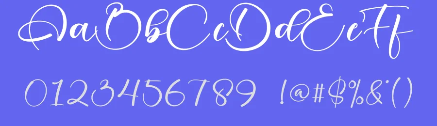 Sofia Calligraphy Script Font by creativeletter — Script Handwritten Font — thumbnail 3
