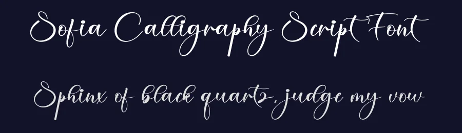 Sofia Calligraphy Script Font by creativeletter — Script Handwritten Font — thumbnail 2