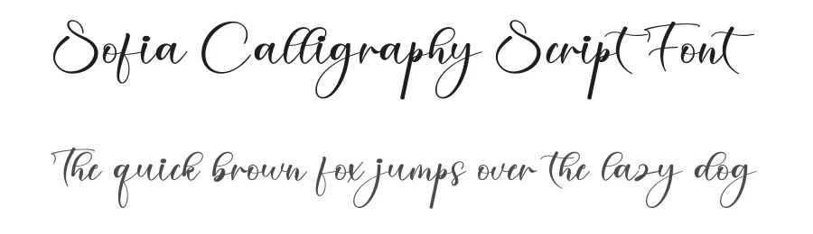 Sofia Calligraphy Script Font by creativeletter — Script Handwritten Font