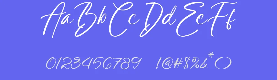 Sofithanks – Modern Script Font by stylishtype.co — Serif Font — thumbnail 3