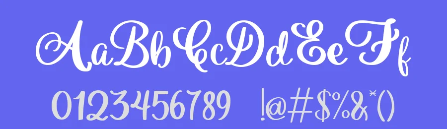 Softaline Script Font by Dm Letter Studio — Script Handwritten Font — thumbnail 3