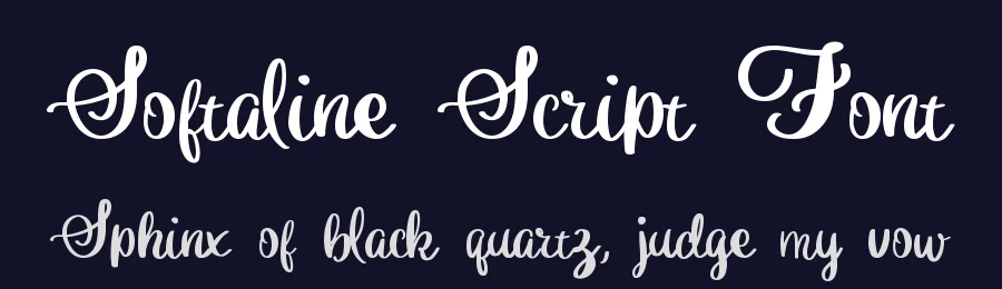 Softaline Script Font by Dm Letter Studio — Script Handwritten Font — thumbnail 2