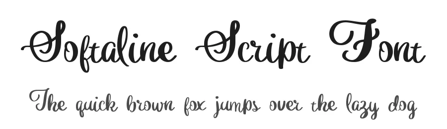 Softaline Script Font by Dm Letter Studio — Script Handwritten Font