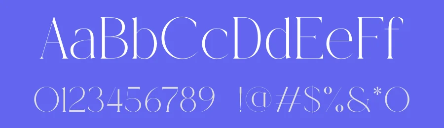 Solguse Font by Gridline Type — Serif Font — thumbnail 3
