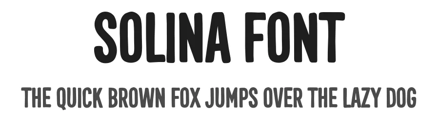 Solina Font by vpcreativeshop — Display Font