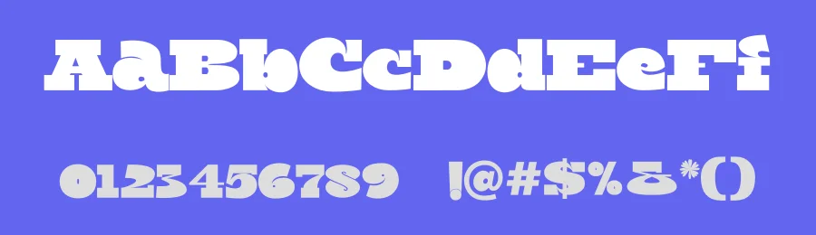 Solore Font by Artnivora Studio — Display Font — thumbnail 3