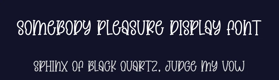 Somebody Pleasure Display Font by creativeletter — Display Font — thumbnail 2