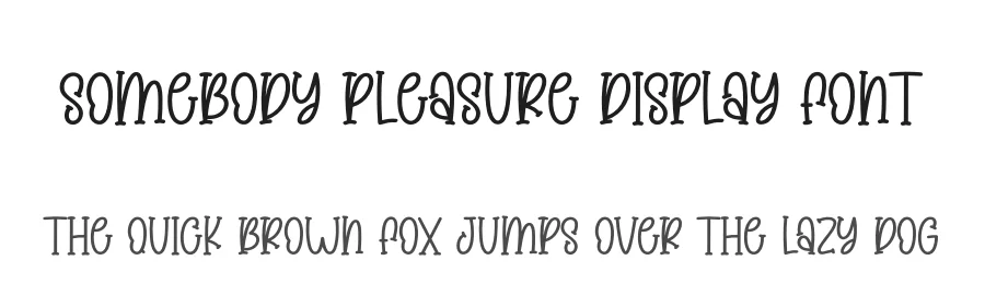 Somebody Pleasure Display Font by creativeletter — Display Font
