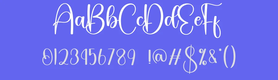 Somebody Script Font by creativeletter — Script Handwritten Font — thumbnail 3