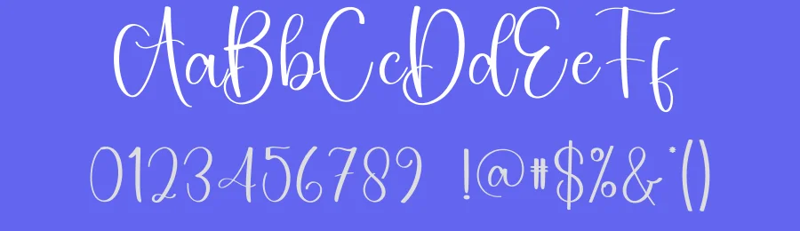 Somebody Script Typeface by creativeletter — Script Handwritten Font — thumbnail 3