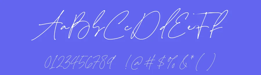 Something Beauty Font by Timur type — Serif Font — thumbnail 3