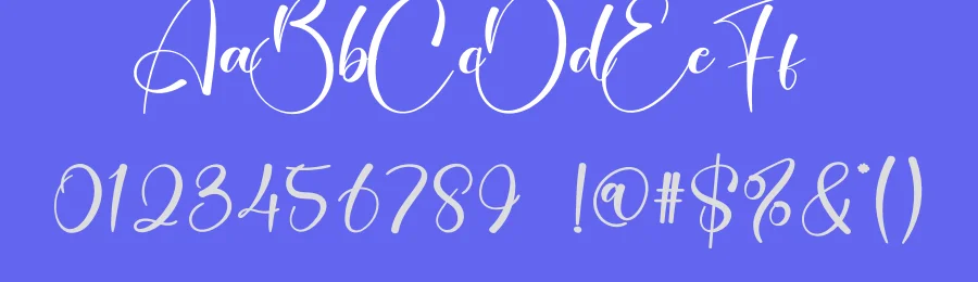 Sometime Calligraphy Font by creativeletter — Script Handwritten Font — thumbnail 3