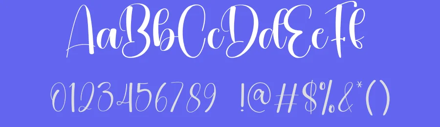 Sometime Calligraphy Script Font by creativeletter — Script Handwritten Font — thumbnail 3