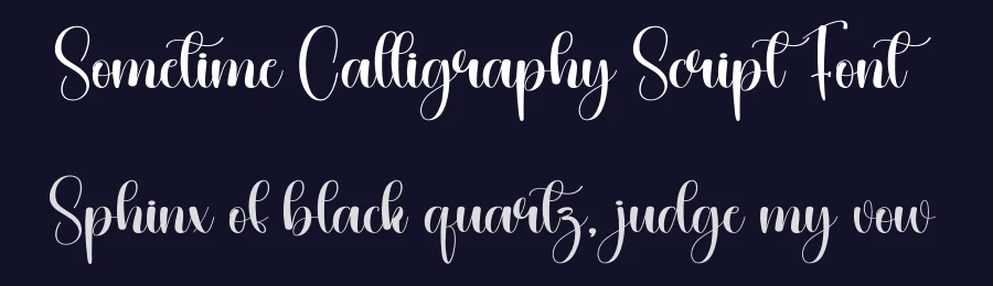 Sometime Calligraphy Script Font by creativeletter — Script Handwritten Font — thumbnail 2