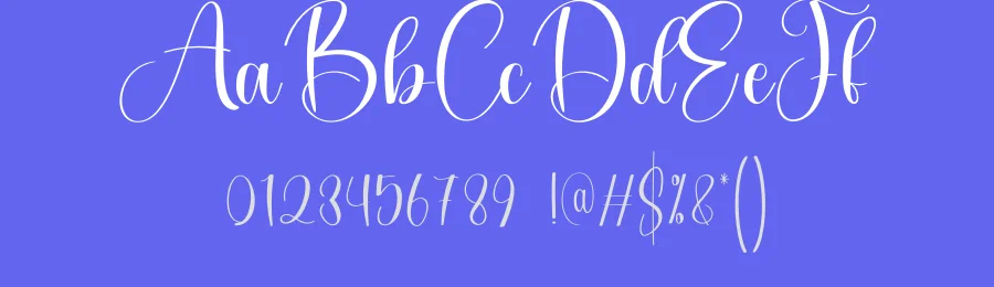 Sometime Calligraphy Script Font by creativeletter — Script Handwritten Font — thumbnail 3