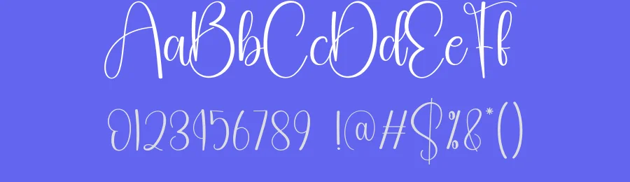 Sometimes Calligraphy Font by creativeletter — Script Handwritten Font — thumbnail 3