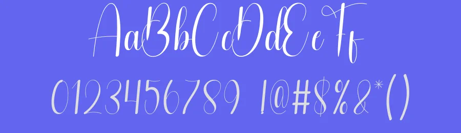 Sometimes Calligraphy Script Font by andikastudio — Script Handwritten Font — thumbnail 3
