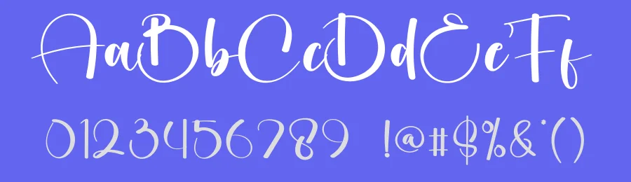 Sometimes Calligraphy Script Font by creativeletter — Script Handwritten Font — thumbnail 3