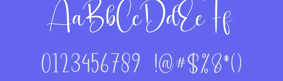 Sometimes Calligraphy Script Font by creativeletter — Script Handwritten Font — thumbnail 3