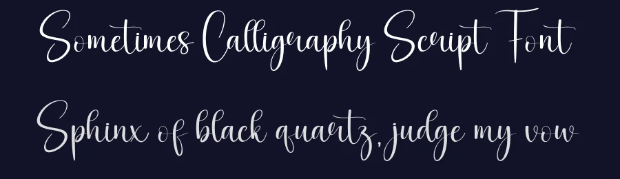 Sometimes Calligraphy Script Font by creativeletter — Script Handwritten Font — thumbnail 2