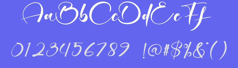 Sometimes Calligraphy Script Font by creativeletter — Script Handwritten Font — thumbnail 3
