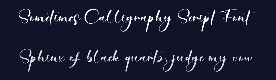 Sometimes Calligraphy Script Font by creativeletter — Script Handwritten Font — thumbnail 2