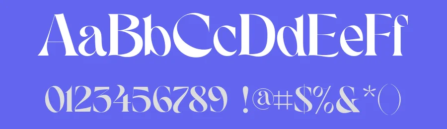 Sonder Font by 1871 Project — Serif Font — thumbnail 3