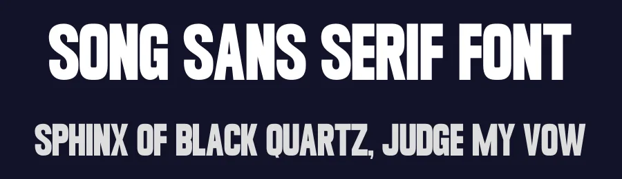 Song Sans Serif Font by Funtype — Decorative Font — thumbnail 2