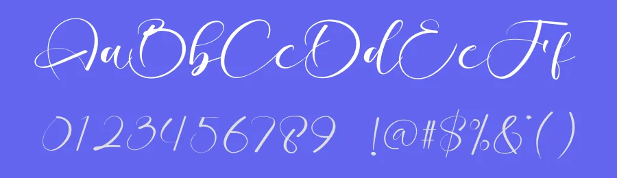 Sonia Calligraphy Script Font by creativeletter — Script Handwritten Font — thumbnail 3