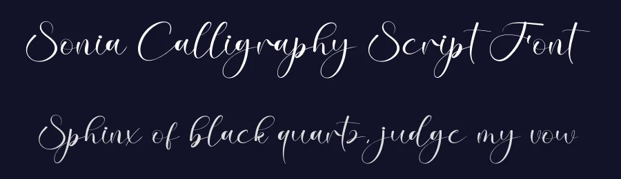 Sonia Calligraphy Script Font by creativeletter — Script Handwritten Font — thumbnail 2