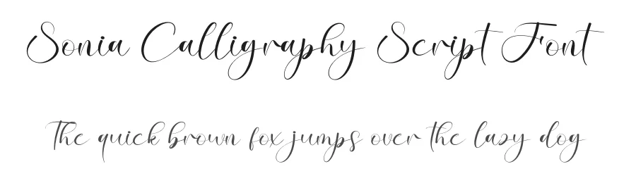Sonia Calligraphy Script Font by creativeletter — Script Handwritten Font