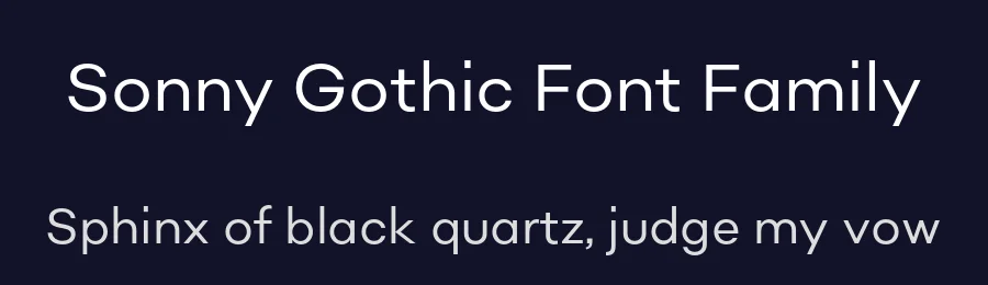 Sonny Gothic Font Family by W Type Foundry — Sans Serif Font — thumbnail 2